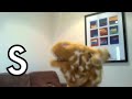 Collection: Mr Thorne Does Phonics