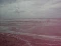 Hurricane Dolly South Padre Island, Tx Part 2