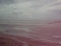 hurricane dolly south padre island tx part 2
