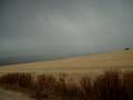 Tormenta local cazada en el campo (3)