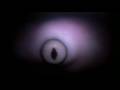 videos de Animals In The Womb | Shark in Womb | Channel 4