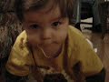 Learning to Crawl