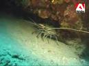 Maldives Biyadoo 2