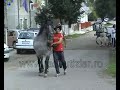 Cigányt fejbe rugja a ló