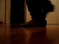 /rubiioelectroo y /patinemossjuntos Bailando Electro