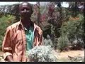 daawasho wacan