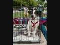 videos de la mision de pladm.wmv
