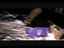 Snowskate Mini Edit Throw Away Snowskate Mini Edit Throw Away