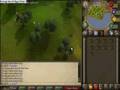 videos de Runescape- Ninja Ev: *Episode 7- 60 Woodcutting*
