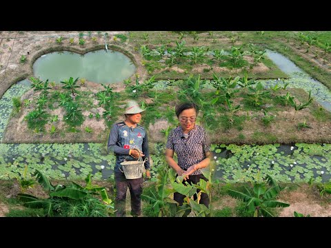 ปลูกอยู่ ปลูกกิน ทำเกษตรแค่ 1 ปี ได้ผลดีเกินคาด