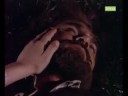 dernier �pisode de la saison 8
james gueri miraculeusement apres avoir recu une balle lors de lattaque dune banque
