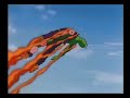 DBZ Fan Dub_Son-Goku trifft auf Cooler