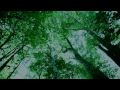 Twilight in Forks: Teaser #1