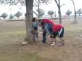CHINCHI LAGUA 4