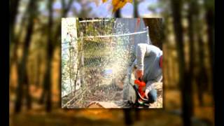 Tala de árboles Corpoboyacá