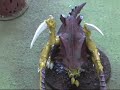 Tyranid Barbed Hierodule (partially painted) - Warhammer 40K Tyranid Barbed Hierodule (partially painted) - Warhammer 40K