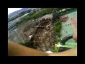 Looping
