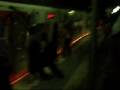 wholecar floresta lokos