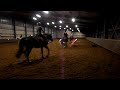 Hippeia YouTube channel