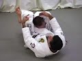 pedro-sauer-arm-bar-technique.html
