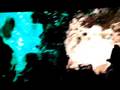 videos de chemical brothers creamfields andalucia 2008 con los tunante