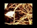 Vallenatos Hits 2011 Mix Dj Mister BeBe HD