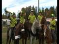 Videoblogg - NM lag 2008