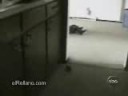BEBE MANIPULADOR
