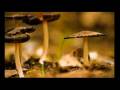 videos de MES 2 PREMIERE COMPOS ELECTRO