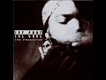 ice cube   my summer vacation