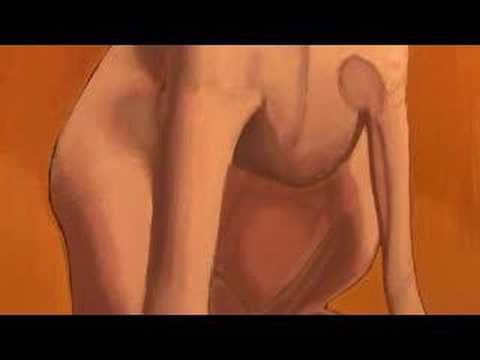 Gerard Morris - Wonderful World Of ...