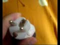 (uploaded by reloader)&nbsp;Universal European AC Plug Travel Adapter from DX