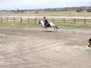 Chloe & Romeo'o'Romeo Galway Downs Novice Cross Country 2 Chloe & Romeo'o'Romeo Galway Downs Novice Cross Country 2