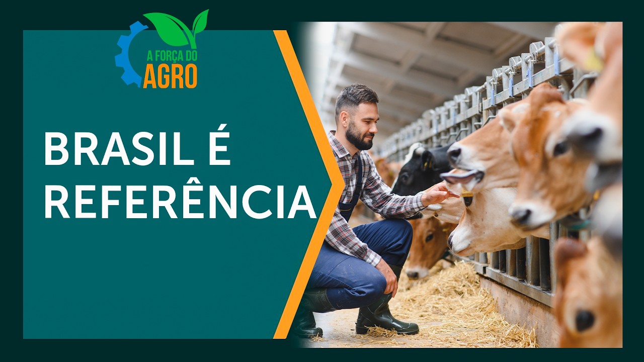 Como o Brasil lidera em bem-estar animal no agronegócio  |  A Força do Agro, com Joice Maffezzolli