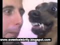 Scary Dog