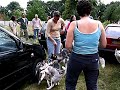 puppydag 2007 puppydag 2007