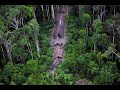 unknown Amazonian Indians