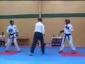 Nibun ITF Orewa Taekwon-Do