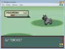 pokemon emerald 100% walkthrough part 2