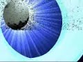 Prof. Dr. Osmar Coutinho - Video 1