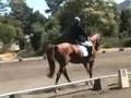 Ruby at Gavilan CDS Dressage Show, Level 1, Test 3