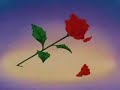 Sailormoon My Heart Sailormoon My Heart