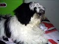 \" Ceni Junior\" - O meu beb� lindo...