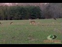 Mossy Oak SuperHunt Mossy Oak SuperHunt
