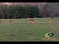 Mossy Oak SuperHunt