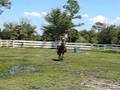 I didn't Ask for that! Melissa Cantering Louie again