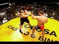 Under Pressure Diary of a Cage Fighters Wife