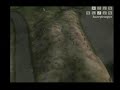 halo xbox 360 bungie beta proto alpha trailer 1999 RTS person E3 2002 MAC PC tech demo gears of wars cortana ilovebee