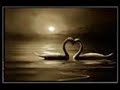 Hot - Angel In Your Arms