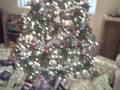 videos de Christmas morning coming down stairs